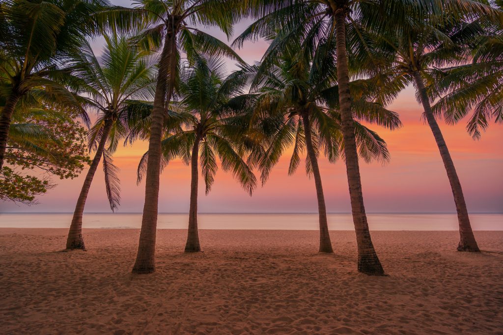 investissement locatif saisonnier martinique